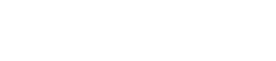API Genie